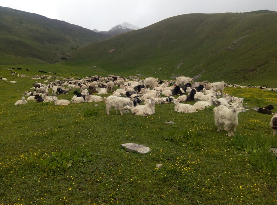 Photo of Chandernahan, Shimla, Himachal Pradesh, India by shikhar