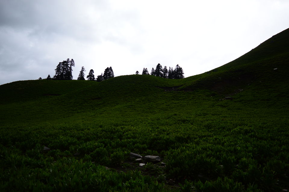 Photo of Chandernahan, Shimla, Himachal Pradesh, India by shikhar