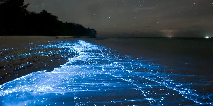 Photo of Havelock Island, Andaman and Nicobar Islands by shikhar