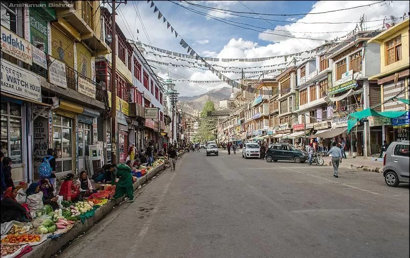 Photo of Leh Palace, Leh by Anita Singh