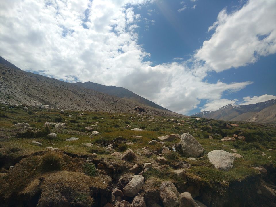 Photo of Nubra Valley, Leh by Anita Singh