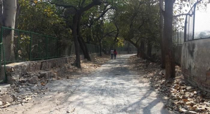 Photo of Bhuli Bhatiyari Ka Mahal, Central Ridge Reserve Forest, New Delhi, Delhi, India by Anita Singh