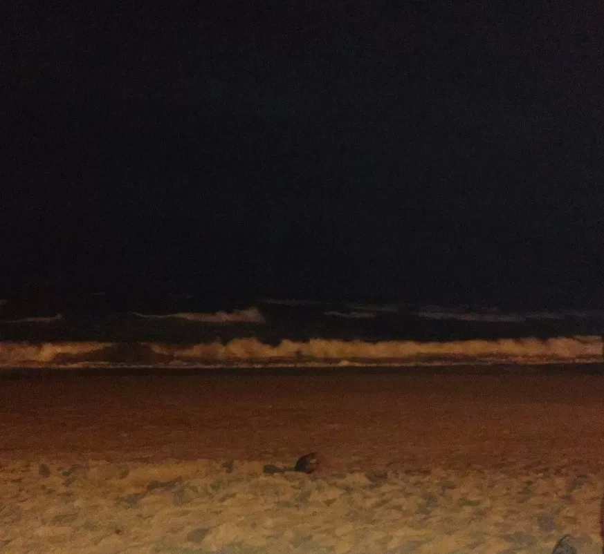 Photo of Baga Beach, Goa by Anita Singh