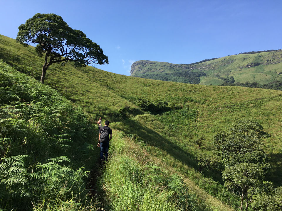 Photo of Kudremukha Peak, Dakshina Kannada, Karnataka, India by Revan Puranik