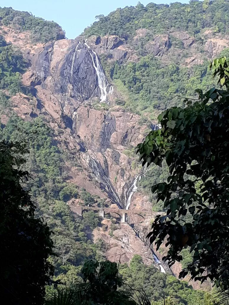Photo of Tragedy Turned To Memorable Dudhsagar Trek Goa by Revan Puranik