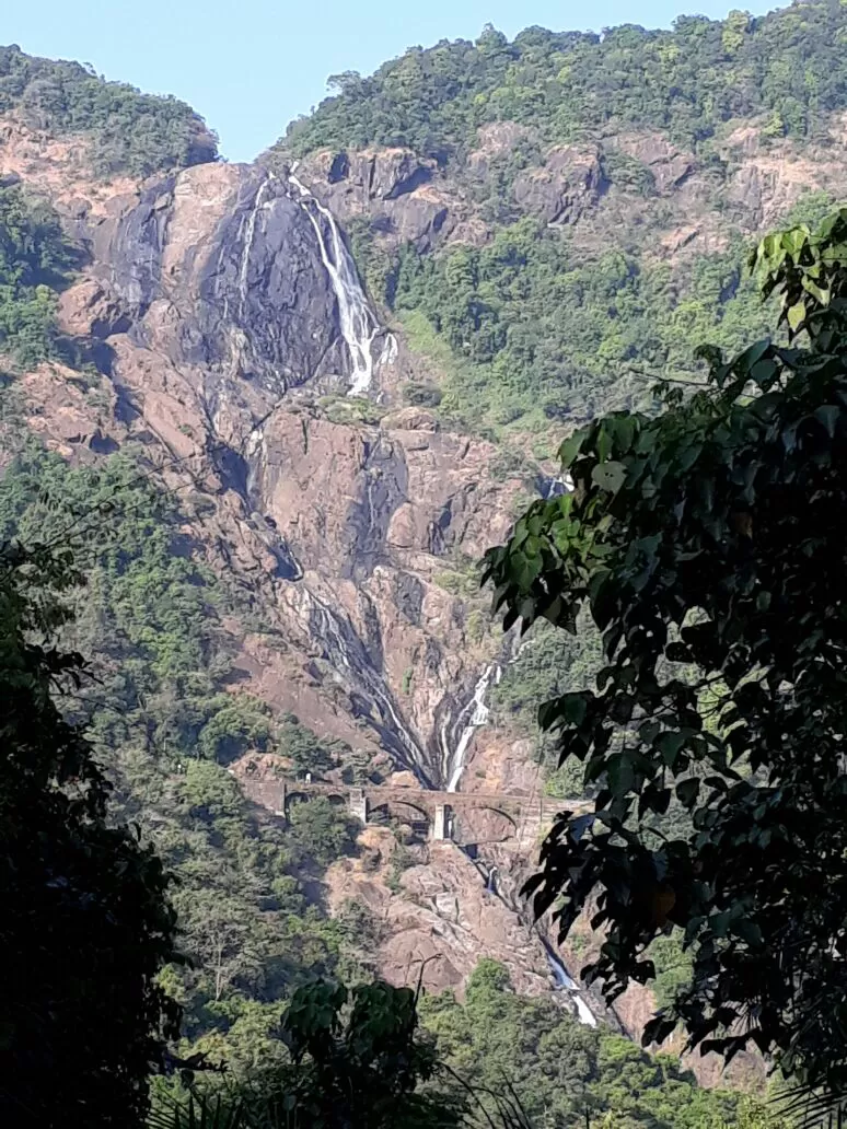 Photo of Tragedy Turned To Memorable Dudhsagar Trek Goa by Revan Puranik