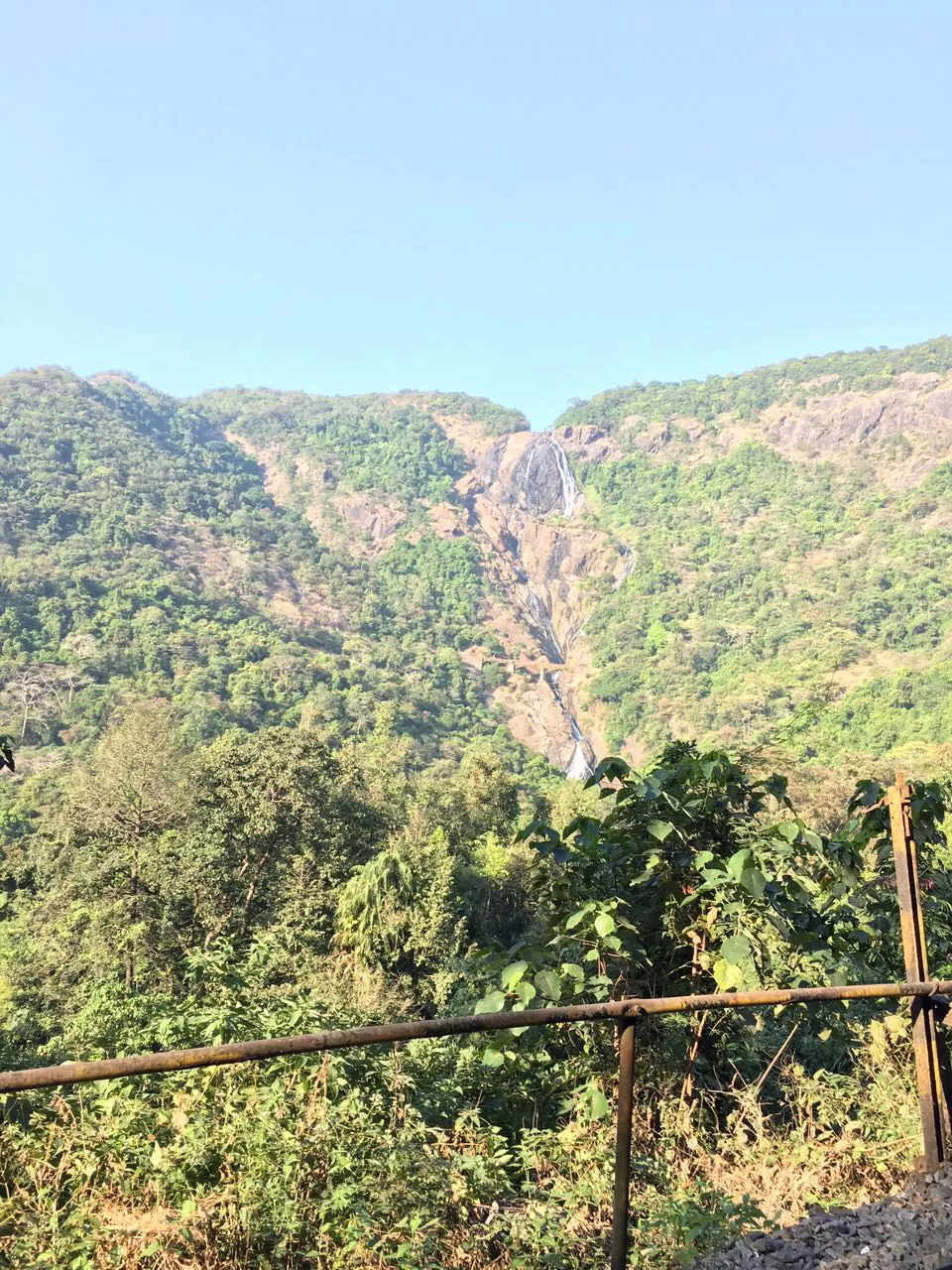 Photo of Tragedy Turned To Memorable Dudhsagar Trek Goa by Revan Puranik