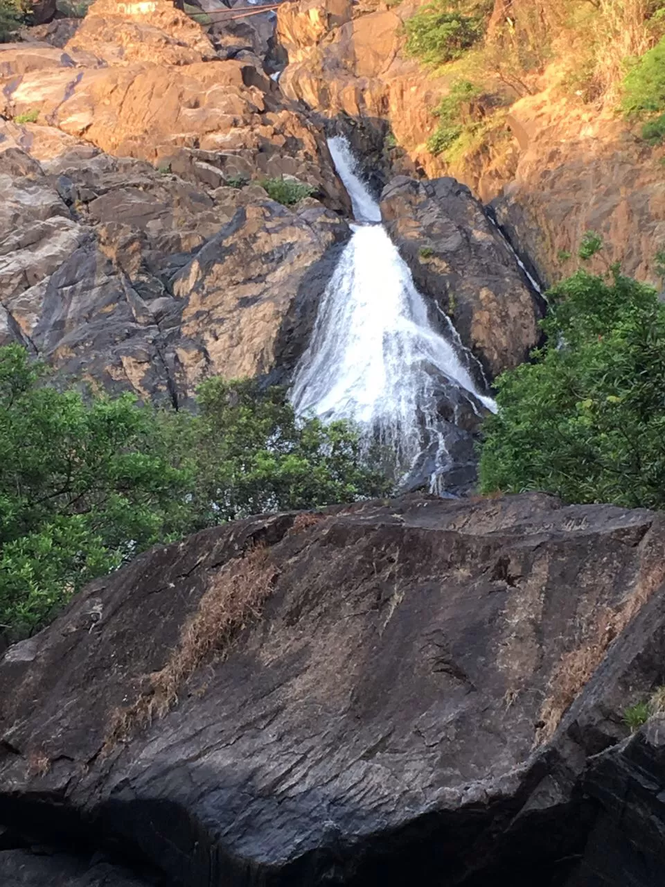 Photo of Tragedy Turned To Memorable Dudhsagar Trek Goa by Revan Puranik