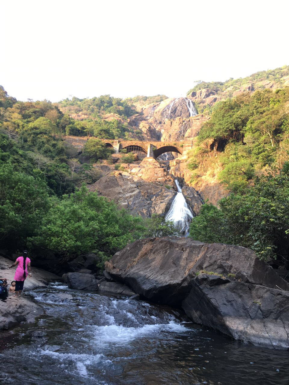 Photo of Tragedy Turned To Memorable Dudhsagar Trek Goa by Revan Puranik