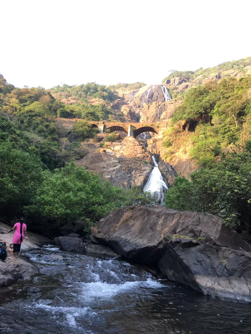Photo of Tragedy Turned To Memorable Dudhsagar Trek Goa by Revan Puranik