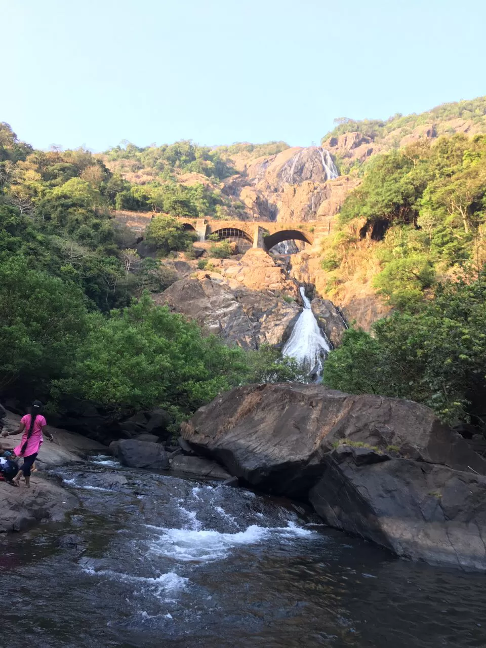 Photo of Tragedy Turned To Memorable Dudhsagar Trek Goa by Revan Puranik