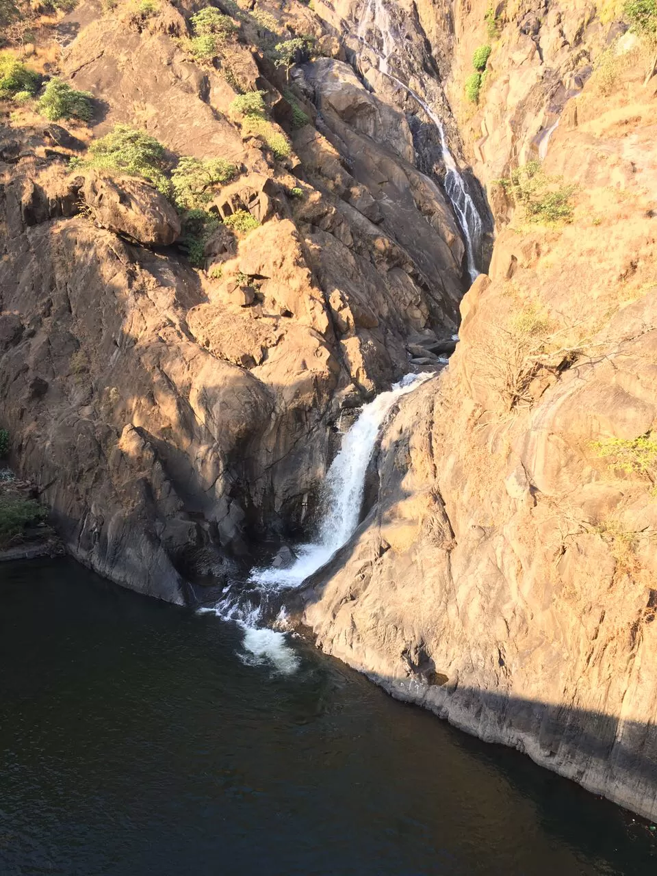 Photo of Tragedy Turned To Memorable Dudhsagar Trek Goa by Revan Puranik