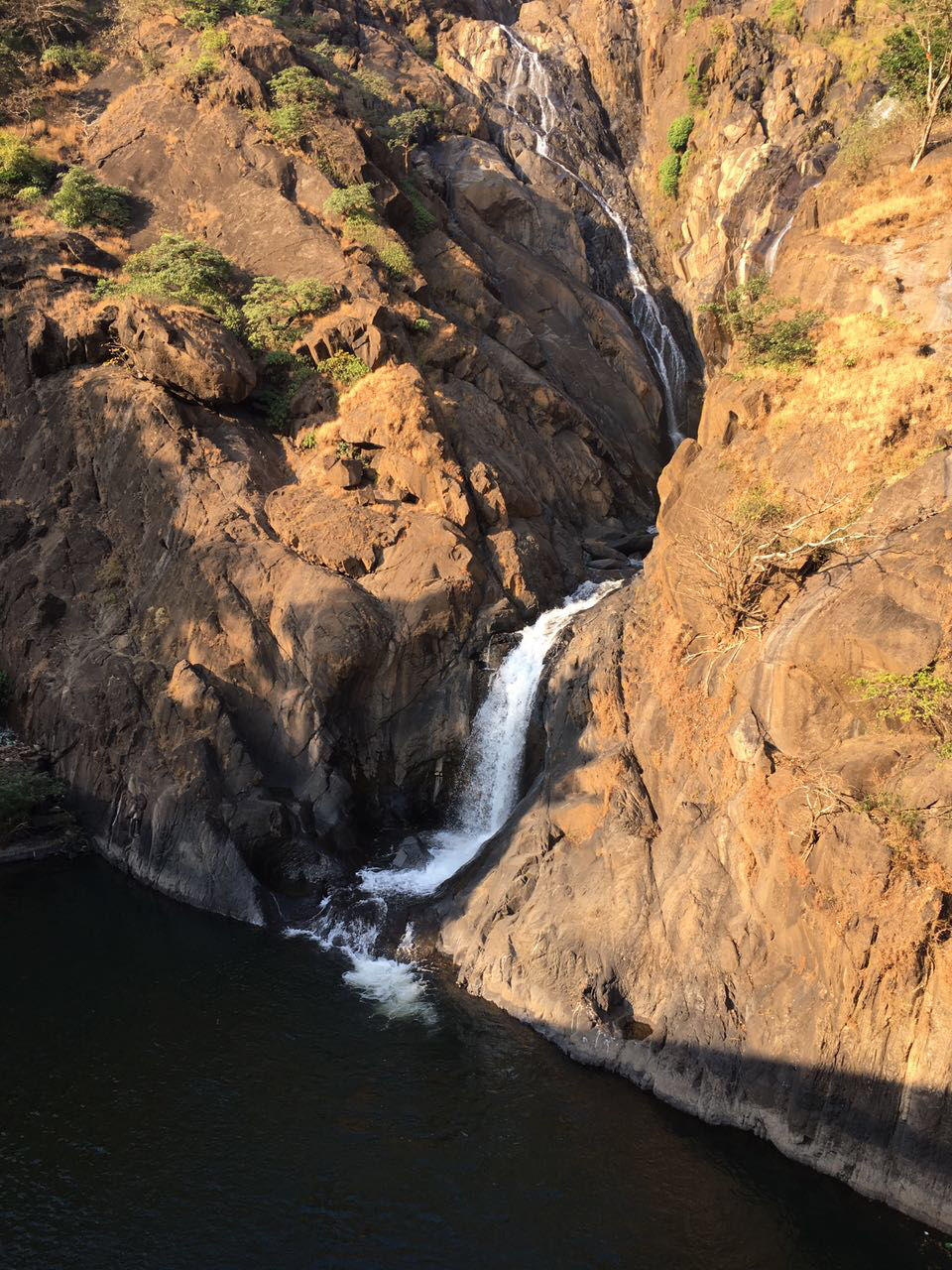 Photo of Tragedy Turned To Memorable Dudhsagar Trek Goa by Revan Puranik