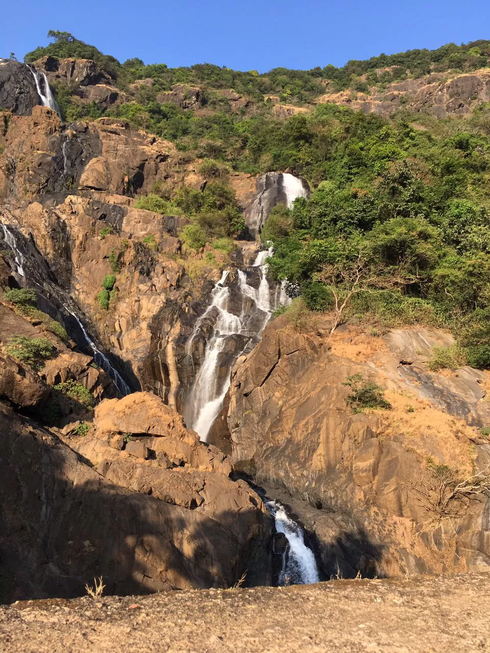 Photo of Tragedy Turned To Memorable Dudhsagar Trek Goa by Revan Puranik