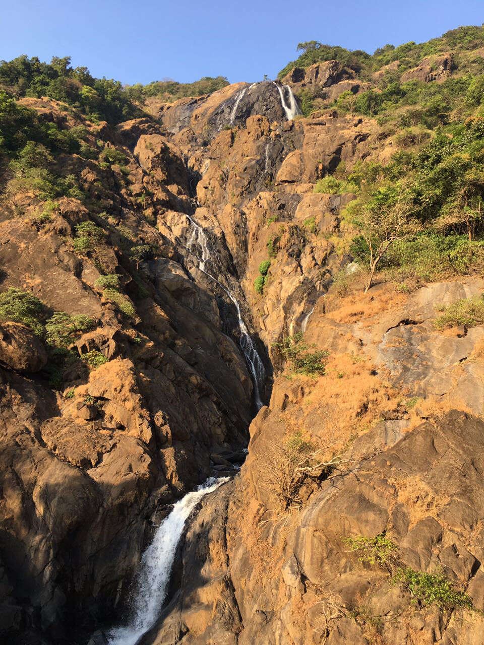 Photo of Tragedy Turned To Memorable Dudhsagar Trek Goa by Revan Puranik