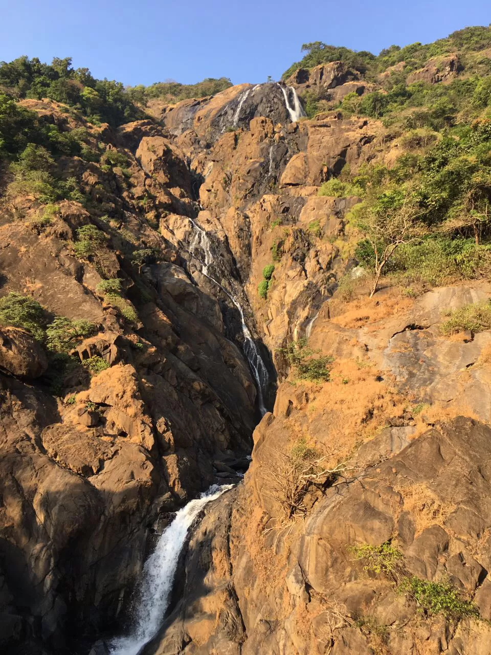Photo of Tragedy Turned To Memorable Dudhsagar Trek Goa by Revan Puranik