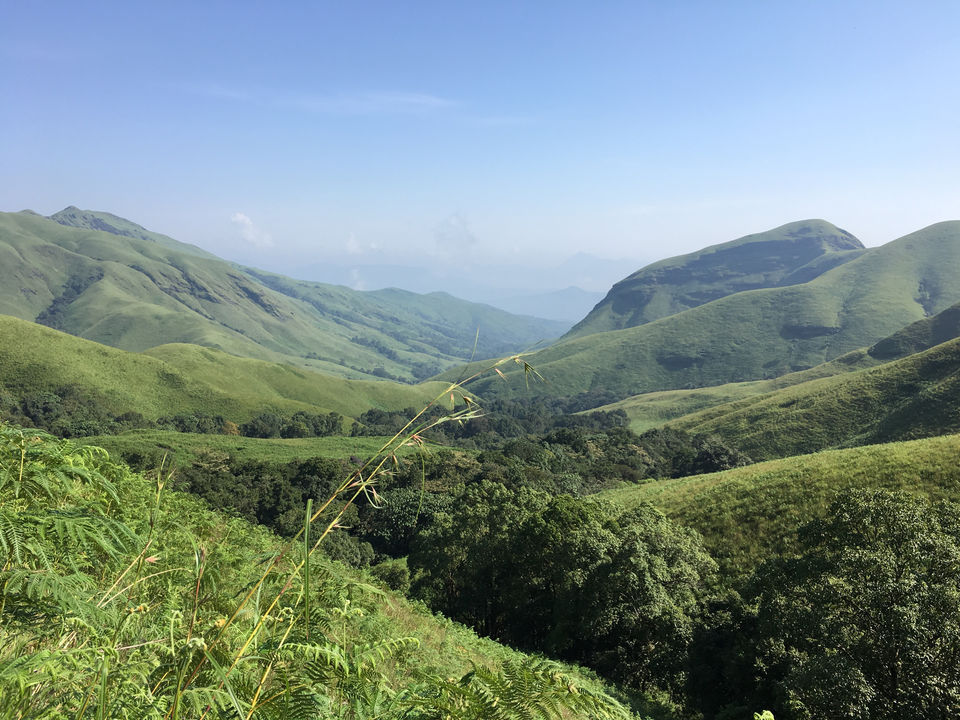 Photo of WEEKEND TREK TO KUDREMUKH by Revan Puranik