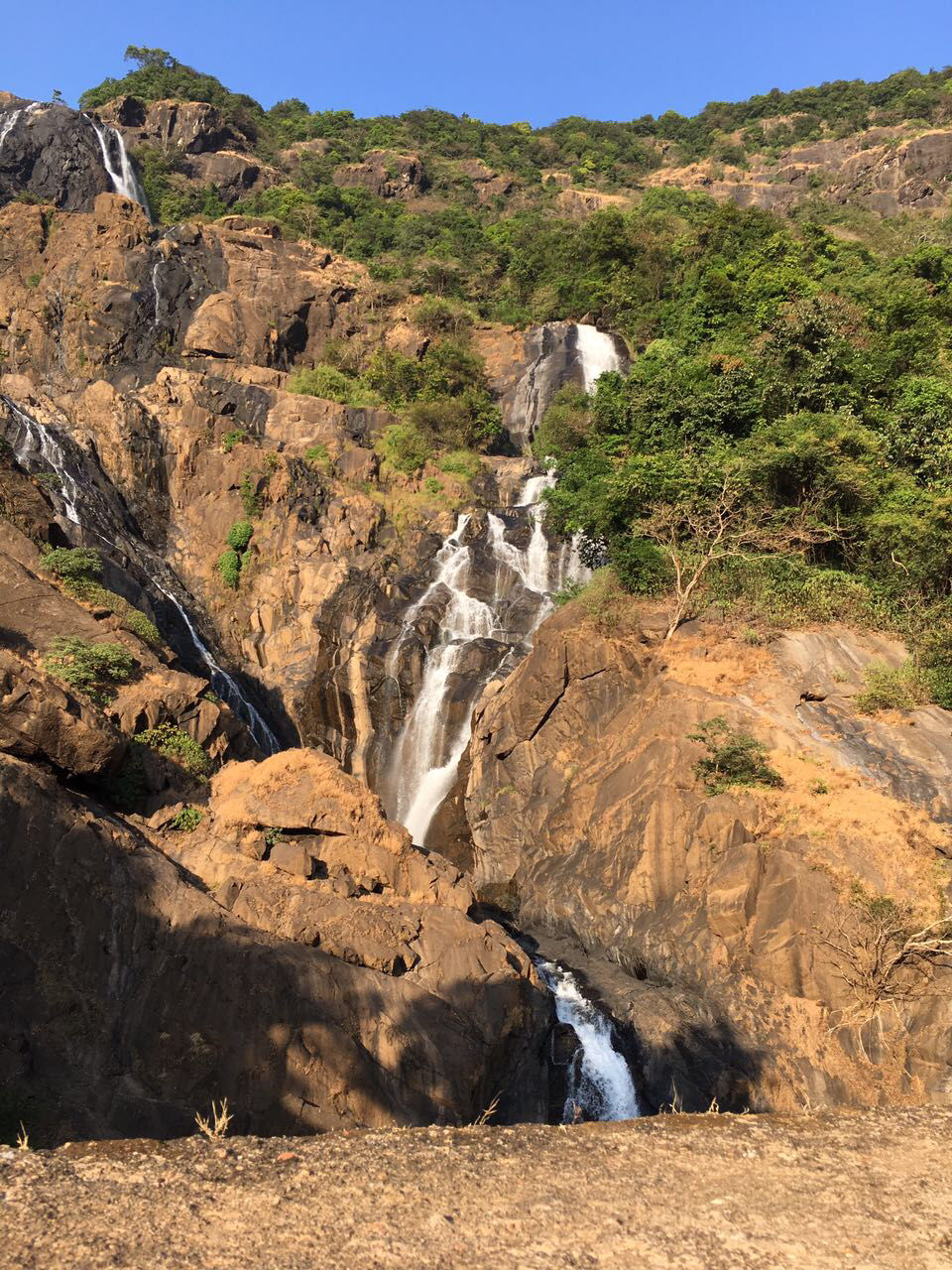 Photo of Tragedy Turned To Memorable Dudhsagar Trek Goa by Revan Puranik