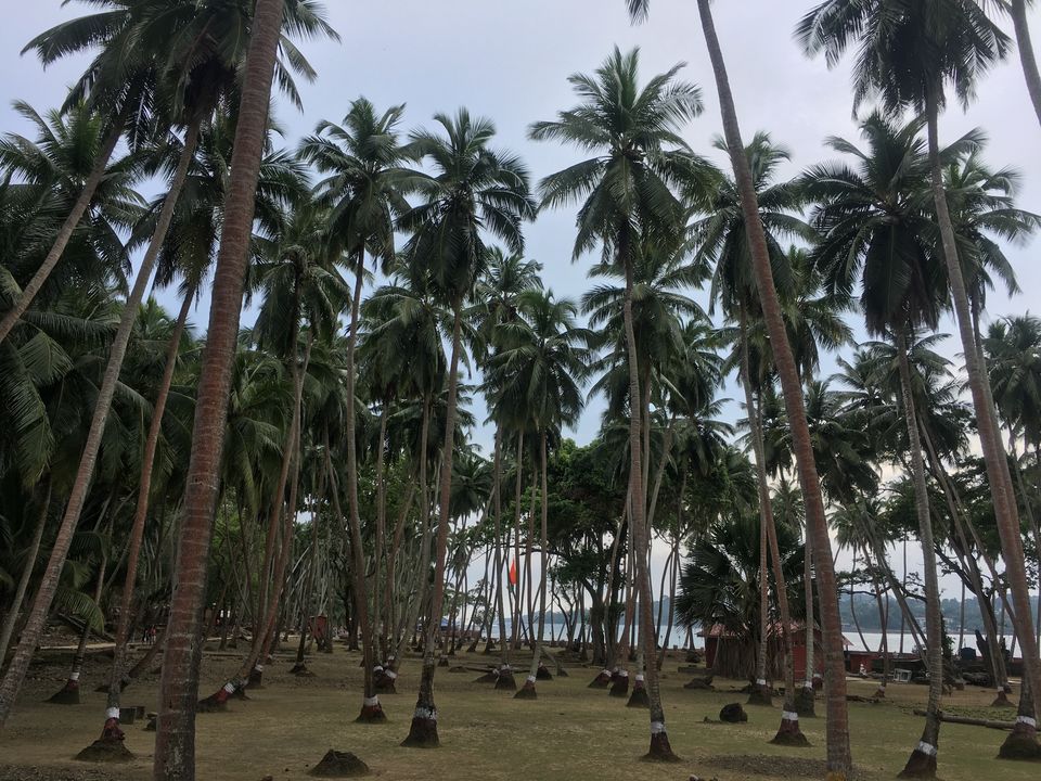 Photo of Discover Andaman Islands 9/56 by Revan Puranik