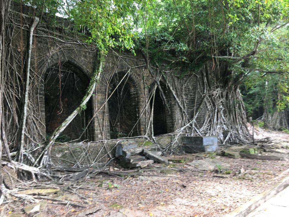 Photo of Discover Andaman Islands 7/56 by Revan Puranik