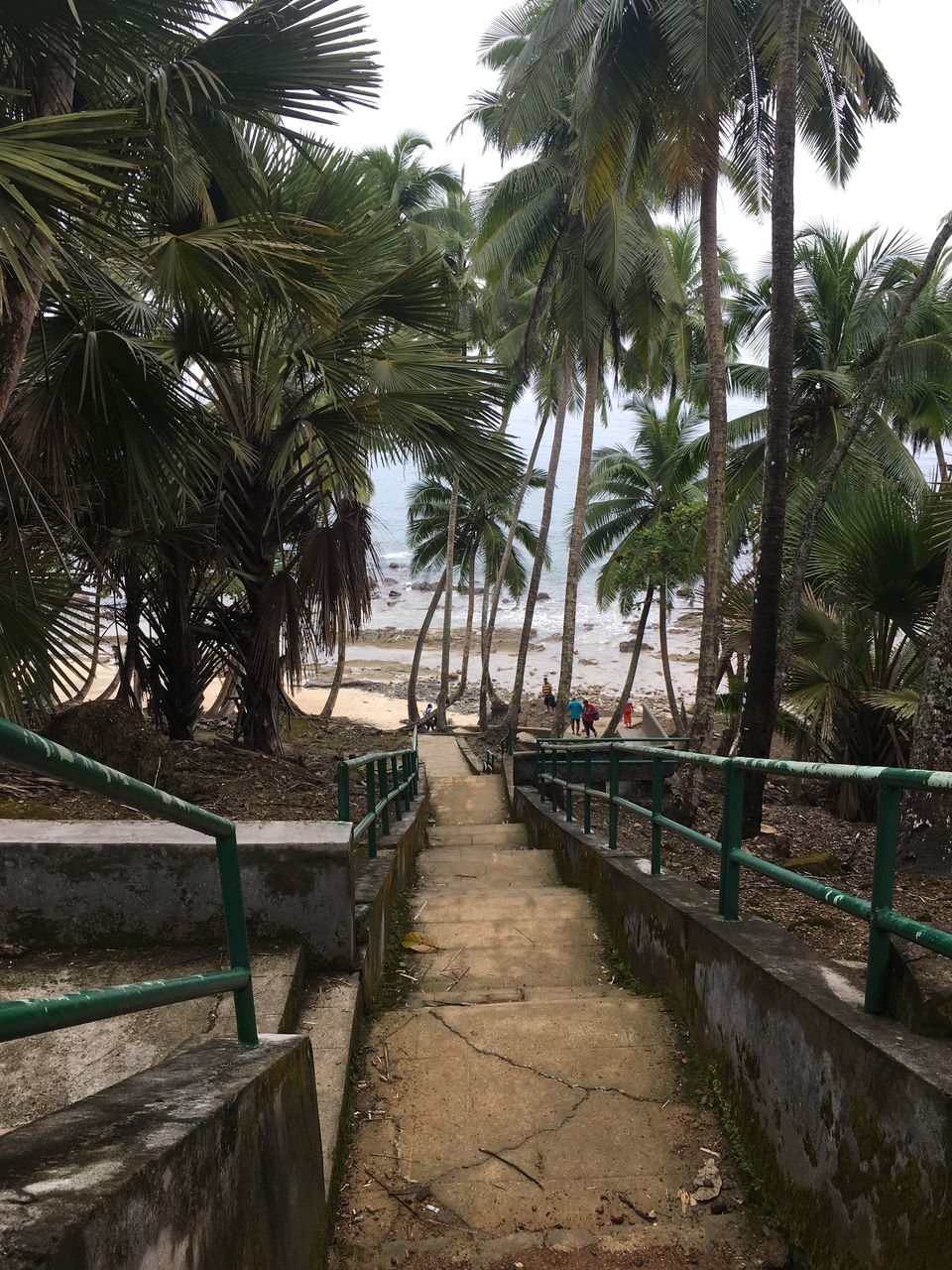 Photo of Discover Andaman Islands 12/56 by Revan Puranik
