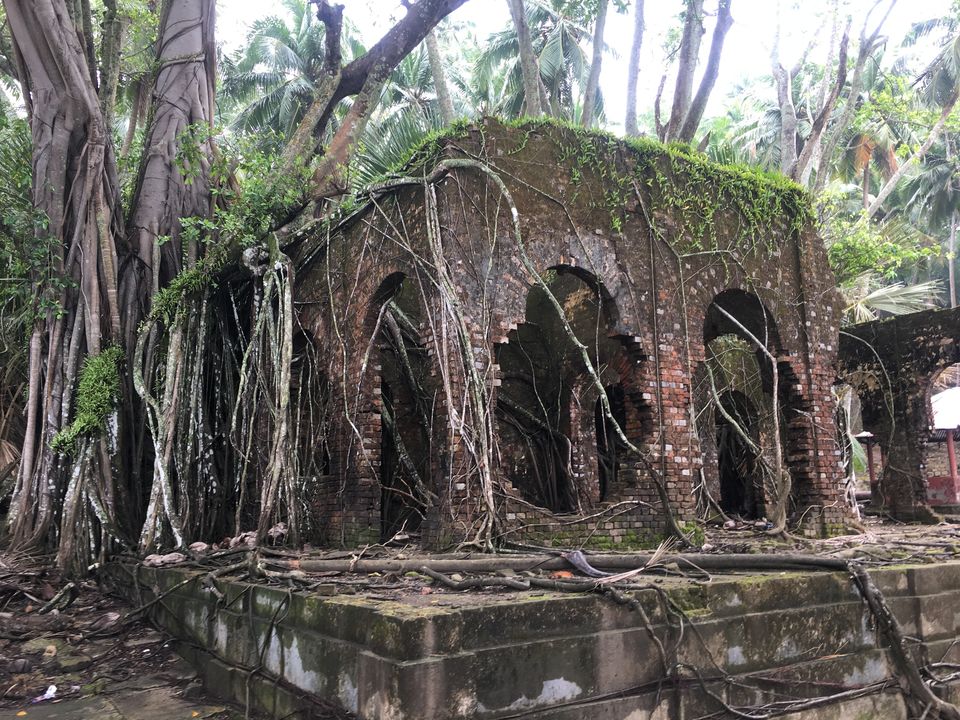 Photo of Discover Andaman Islands 10/56 by Revan Puranik