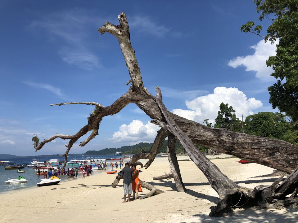 Photo of Discover Andaman Islands 20/56 by Revan Puranik