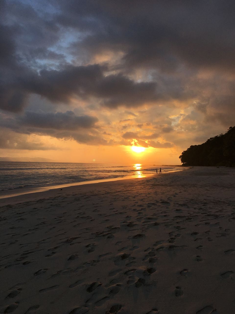 Photo of Discover Andaman Islands 31/56 by Revan Puranik