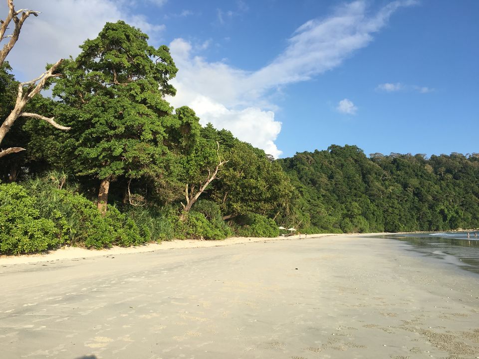 Photo of Discover Andaman Islands 25/56 by Revan Puranik