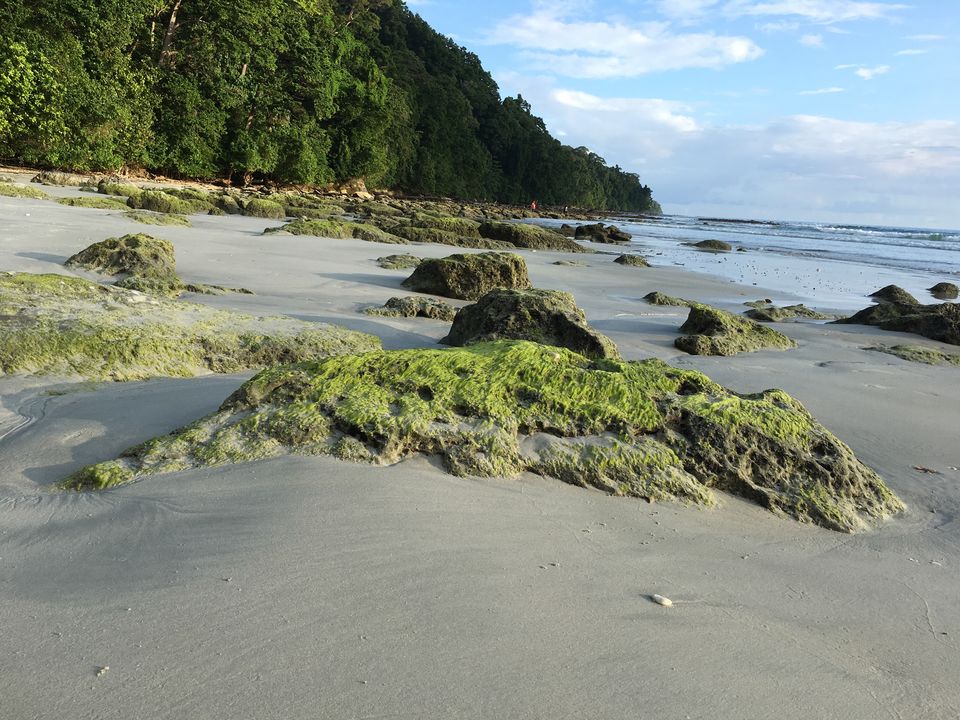 Photo of Discover Andaman Islands 26/56 by Revan Puranik