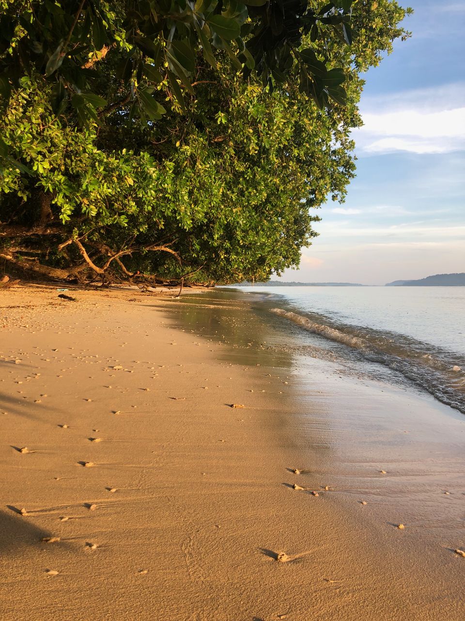 Photo of Discover Andaman Islands 34/56 by Revan Puranik