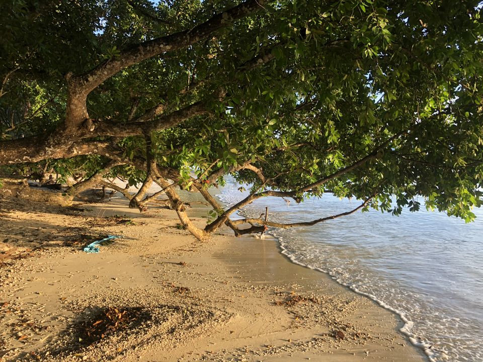 Photo of Discover Andaman Islands 35/56 by Revan Puranik