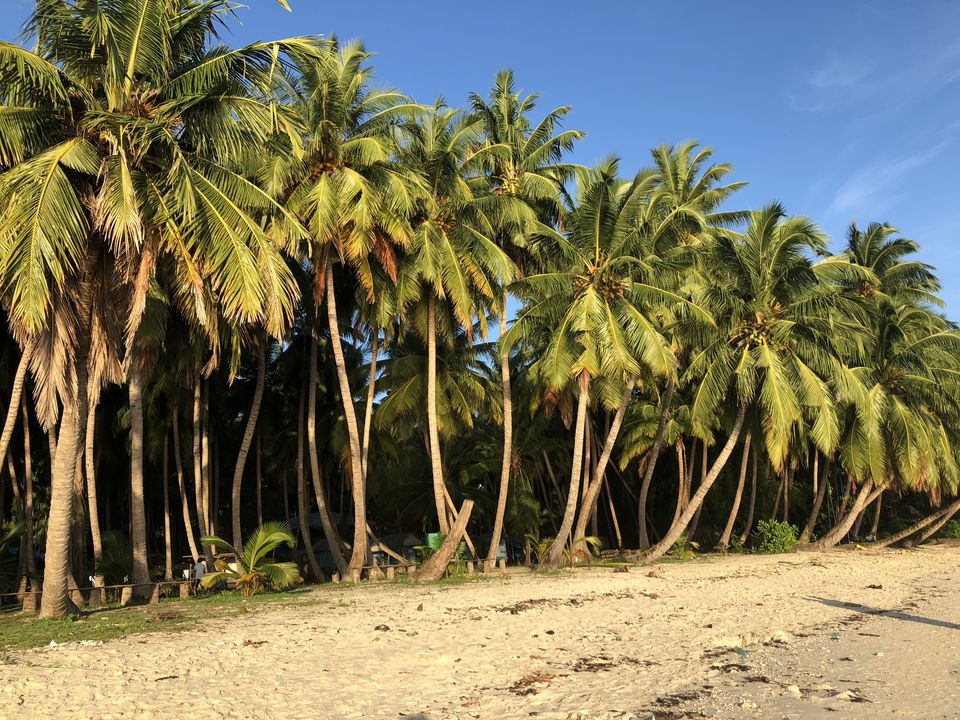 Photo of Discover Andaman Islands 36/56 by Revan Puranik