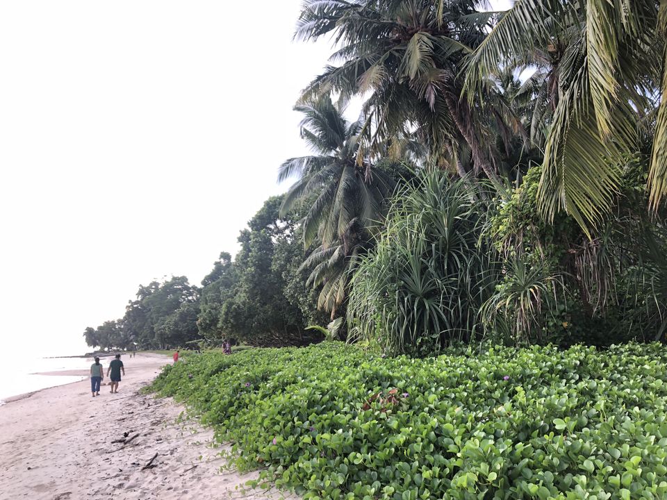 Photo of Discover Andaman Islands 47/56 by Revan Puranik