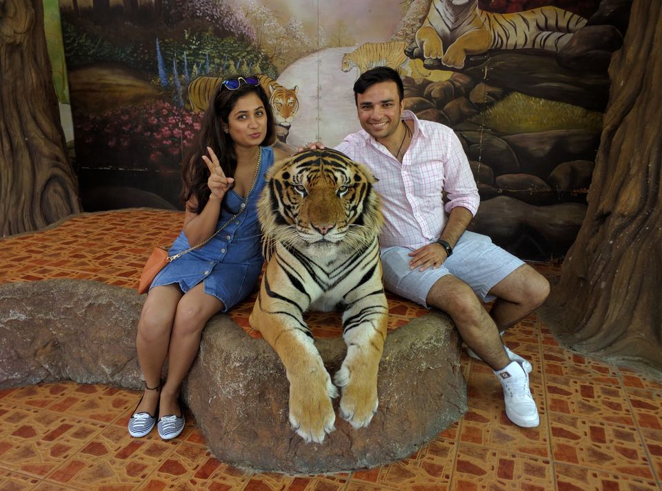 Photo of Sriracha Tiger Zoo Nong Kham Chon Buri Thailand by Manvi Deshwal