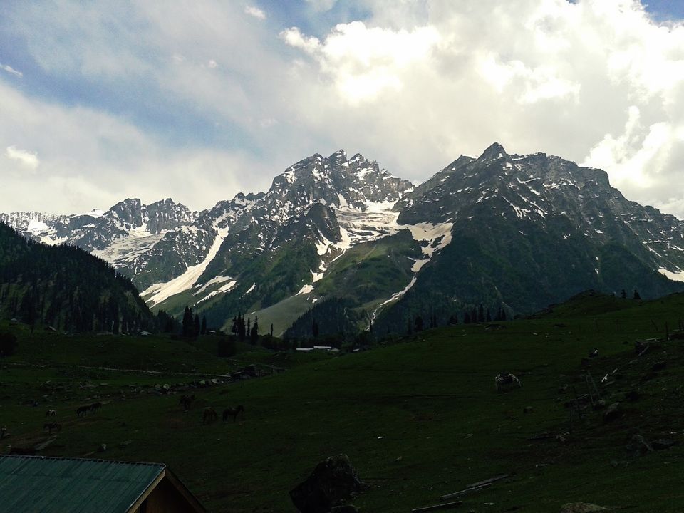 Photo of The Colors of Leh: Beautiful Pictures on Way to Leh by Harleen Sandhu