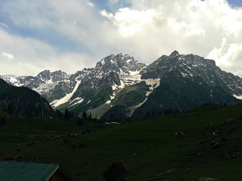 Photo of The Colors of Leh: Beautiful Pictures on Way to Leh by Harleen Sandhu