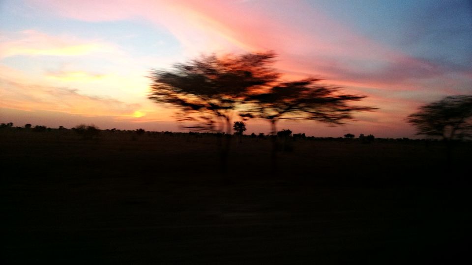 Photo of Exploring The Thar by Harleen Sandhu