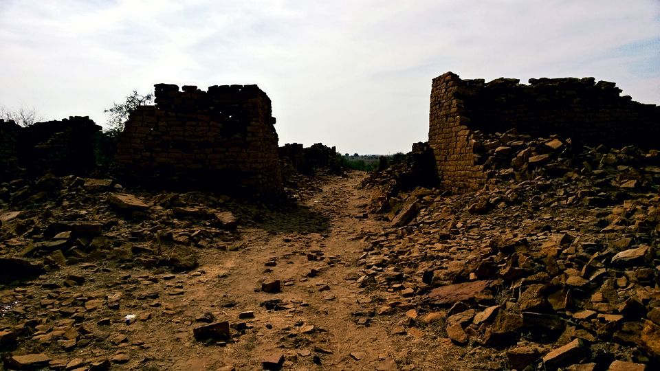 Photo of Exploring The Thar by Harleen Sandhu