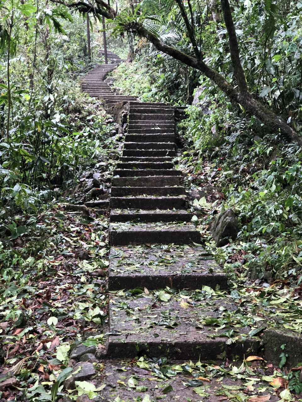Photo of Meghalaya - The Wonderland by RitzAt
