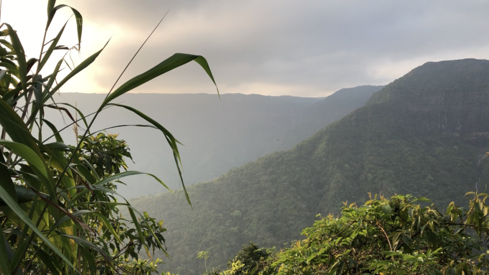 Photo of Meghalaya - The Wonderland by RitzAt