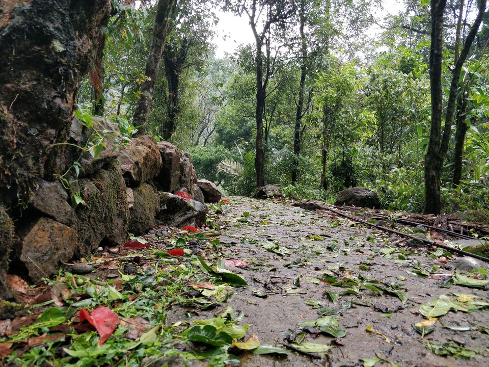 Photo of Meghalaya - The Wonderland by RitzAt