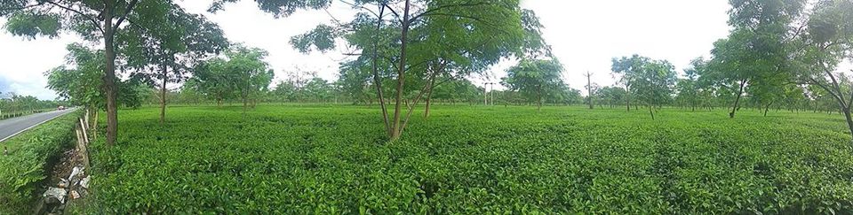Photo of Hashimara, पश्चिम बंगाल, भारत by Pratul Chandra Jha