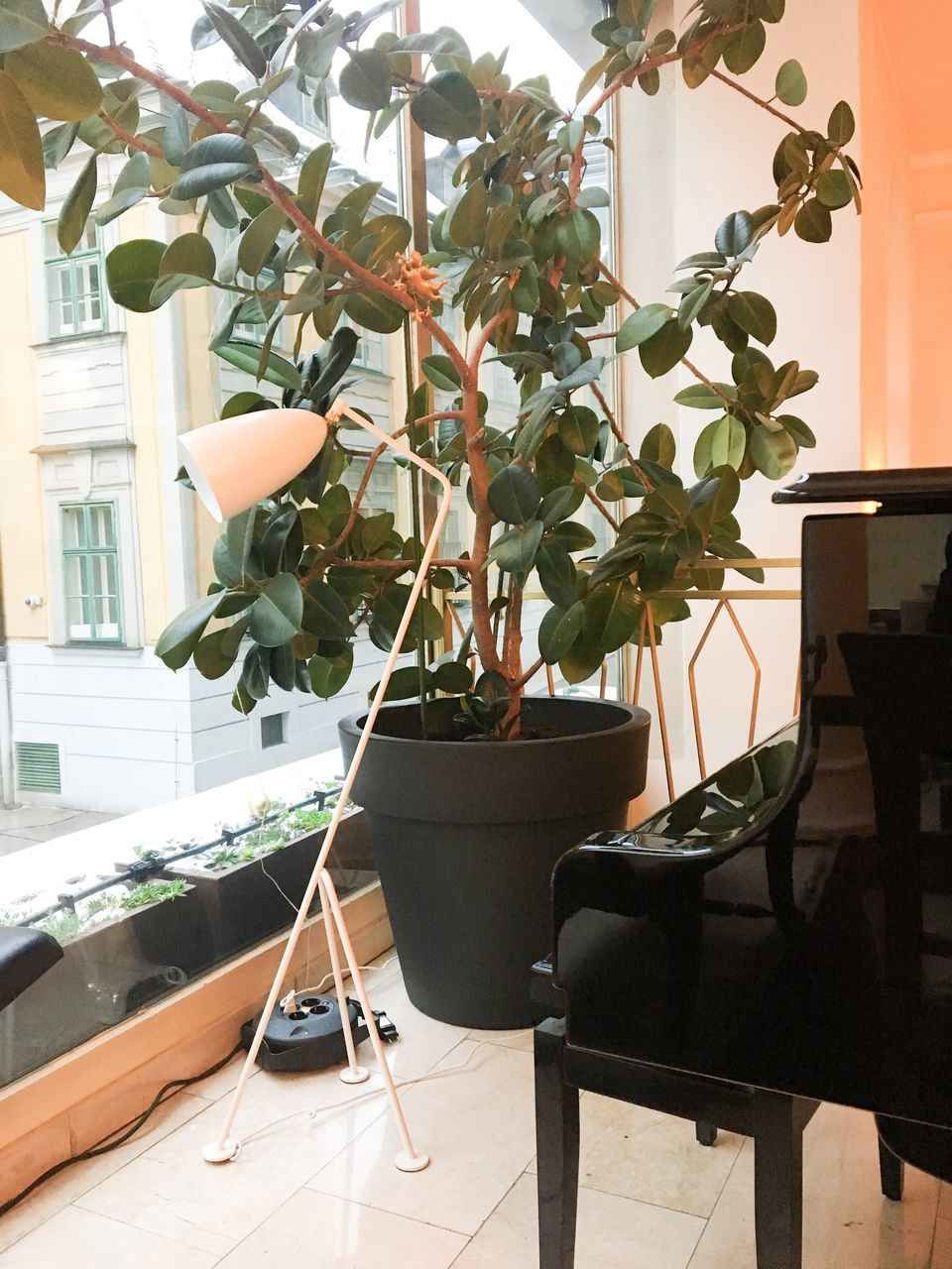 Photo of Hotel Beethoven Wien, Papagenogasse, Vienna, Austria by Ananya Ghosh