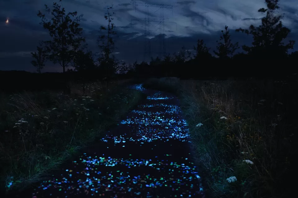 Photo of Van Gogh-Roosegaarde Cycle Path, Eindhoven, Netherlands by Ananya Ghosh