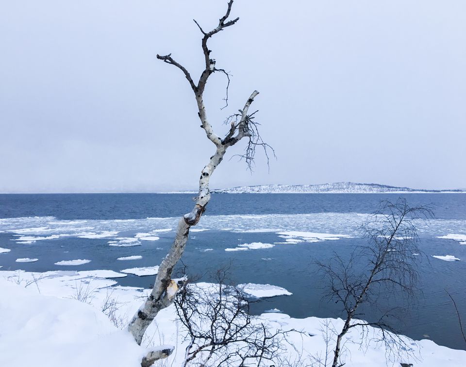 Photo of Abisko National Park, Sweden by Ananya Ghosh