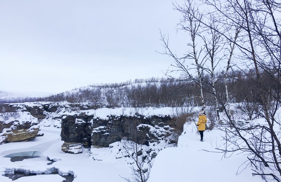 Photo of Abisko National Park, Sweden by Ananya Ghosh