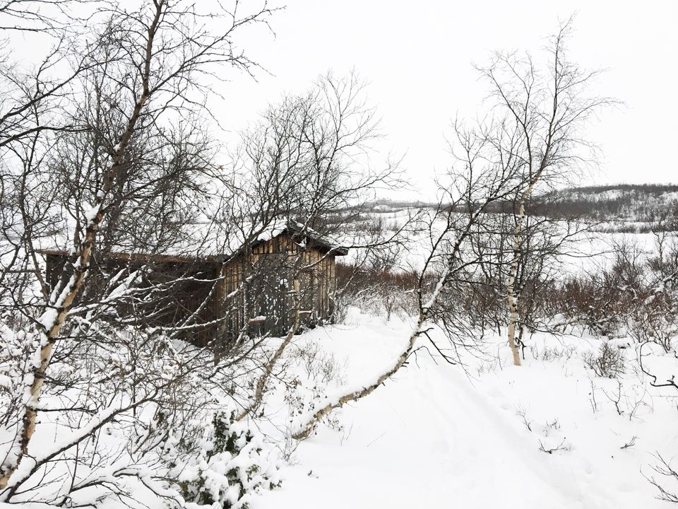 Photo of Abisko National Park, Sweden by Ananya Ghosh