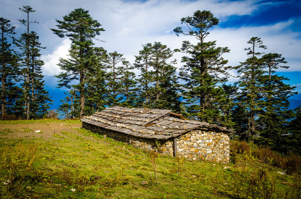Photo of Chele La, Paro, Bhutan by Avantika Das