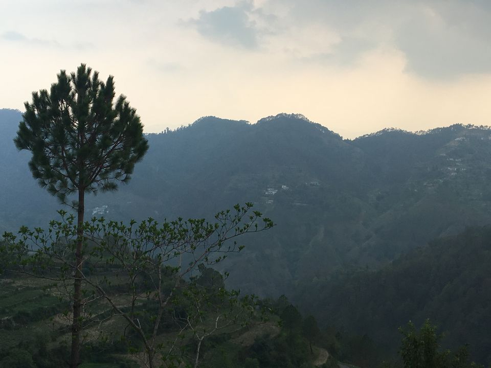 Photo of A Million stars sans the Five by Niyati Verma
